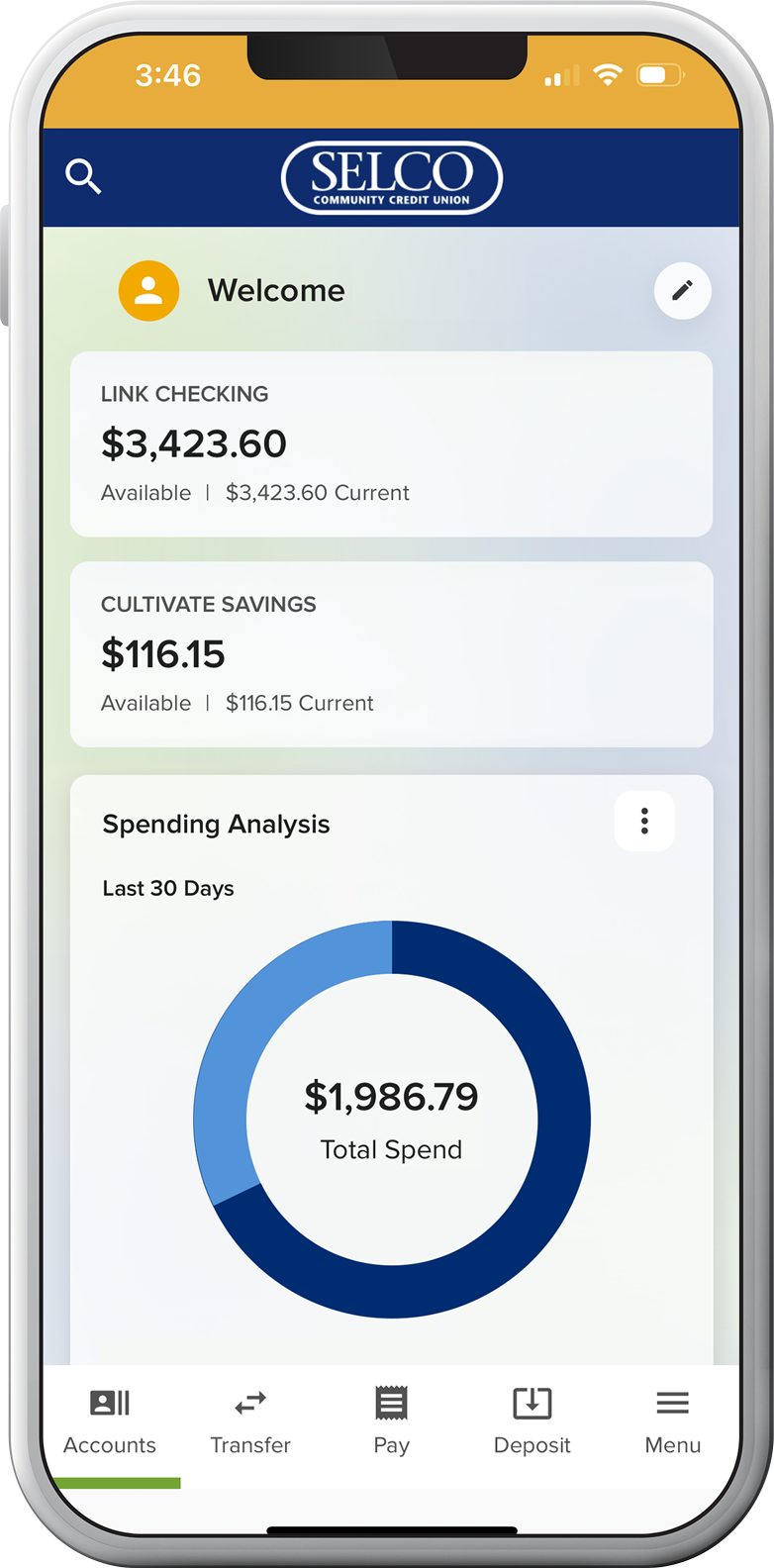 Checking account spending analysis tool