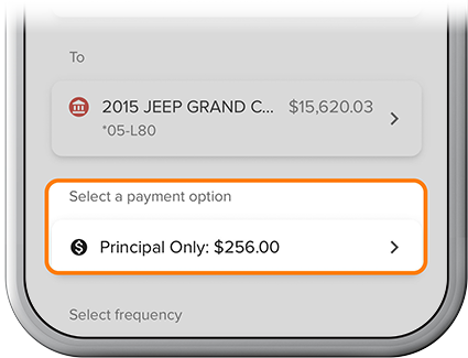 Selecting loan payment type on SELCO app